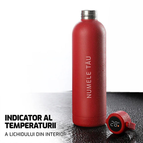 Termos cu indicator al temperaturii